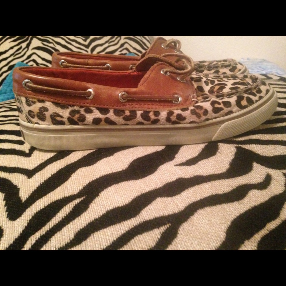 Sperrys leopard - Picture 2 of 3